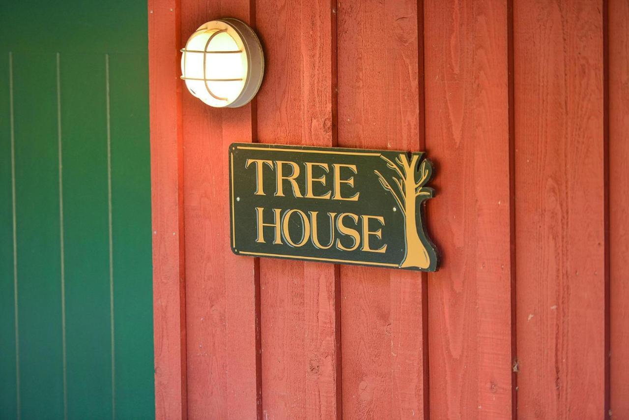Salishan Tree House Suite Cowichan Bay Extérieur photo