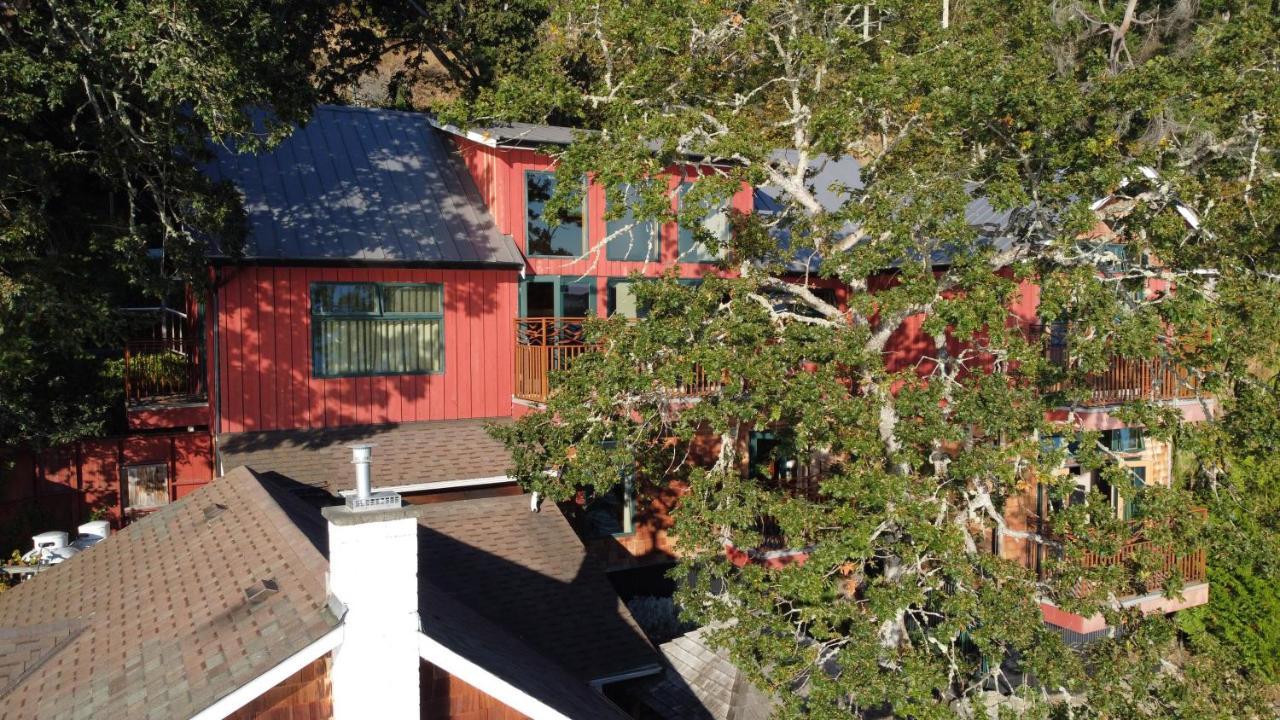Salishan Tree House Suite Cowichan Bay Extérieur photo